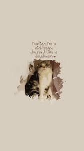 I Love How They Used The Cat S Picture Taylor Swift Lyrics Taylor Swift Songs Taylor Lyrics