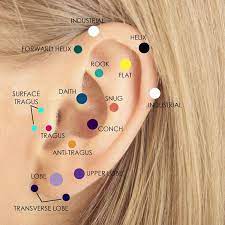 Maybe you would like to learn more about one of these? Cartilage Piercing Jewelry Guide Freshtrends