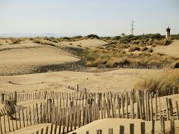 Plus précises et 4 fois par jour. Historique Meteo Du Grau Du Roi La Meteo Jour Par Jour Depuis 2009