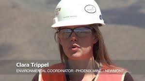 General Improvement Districts (GIDs) in Nevada