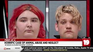 7 pets found dead, 16 pets found in neglectful conditions in Canton home;  Couple charged