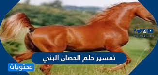 تفسير رؤية الحصان البني في الحلم الحصان داكن اللون إلى المتع الزائلة، وتحقيق حياة رفاهية لكن بعد معاناة وتعب، واذا رأى أحدكم في منامه أنه يركب حصان بني فهذا دليل على زيادة في الثروة والجاه وتحين الأمور المادية والعاطفية. ØªÙØ³ÙŠØ± Ø­Ù„Ù… Ø§Ù„Ø­ØµØ§Ù† Ø§Ù„Ø¨Ù†ÙŠ Ù„Ù„Ù…Ø±Ø£Ø© ÙˆØ§Ù„Ø±Ø¬Ù„ Ø¨ÙƒØ§ÙØ© ØªØ£ÙˆÙŠÙ„Ø§ØªÙ‡ Ù…ÙˆÙ‚Ø¹ Ù…Ø­ØªÙˆÙŠØ§Øª