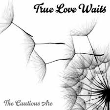 Everyone says love hurts, but that is not true. True Love Waits Original Mix By The Cautious Arc Boomplay Music