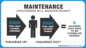 High quality natural ingredients for all your workout needs. The Muscle Building Diet Free 12 Step Lean Bulking Meal Plan