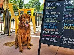 Breweries Dog Friendly Slc