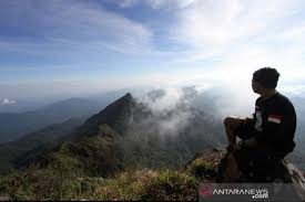 Dan sebagai kompensasi atas bantuan dana yang. Pemprov Kalsel Kembangkan Hutan Wisata Tingkatkan Kesejahteraan Warga Antara News