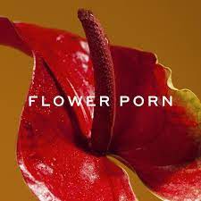 FLOWER PORN: Notes From the Perfumer - I AM HERETIC PODCAST | Listen Notes