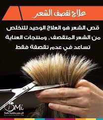 قص الشعر هو العلاج الوحيد للتخلص من الشعر المتقصف good to know powder brush health