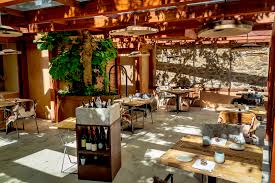 Image result for Montia