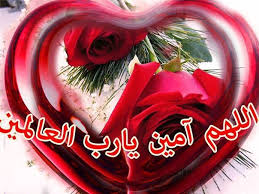بطاقات مكتوب عليها دعوات بتمني الشفاء صور ورود مكتوب عليها عبارات. ØµÙˆØ± Ø§Ù„Ù„Ù‡Ù… Ø§Ù…ÙŠÙ† ØµÙˆÙ„Ø± Ø§Ø¯Ø¹ÙŠÙ‡ ÙˆÙ…ÙƒØªÙˆØ¨ Ø¹Ù„ÙŠÙ‡Ø§ Ø¡Ø§Ù…ÙŠÙ† ØµÙˆØ± Ø¨Ù†Ø§Øª