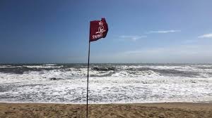 Read verified pet policies and get help from our canine concierge! Swimmers Urged Not To Hit Outer Banks Waters Due To Bacteria Concerns Wset