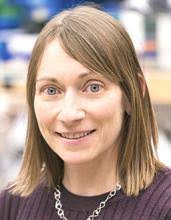 Stem Cell Leadership