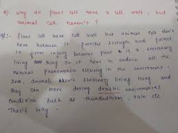 Check spelling or type a new query. Why Do Plant Cella Have A Cell Wall And Animal Cells Dont Brainly In
