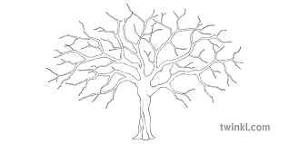 Read customer reviews and common questions and answers for innovative stencils part #: Cherry Blossom Tree Template Object Craft Japan Topics Ks2 Black And White