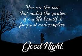 Even on the coldest night, my heart is warmed from within because of your treasured presence. Good Night Messages For Wife Romantic Wishes 2021