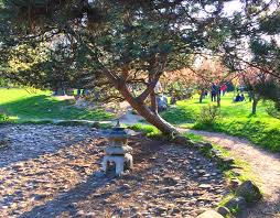 People interested in gradina japoneza herastrau also searched for. Gradina Japoneza Herastrau Lavinia Gogu