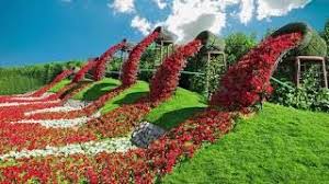 Here you can get the best flower gardens wallpapers for your desktop and mobile devices. Garden Background Hd Download