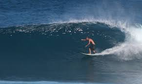 Maui Surfing Maui Surf Schools Rentals Spots Reports Tips