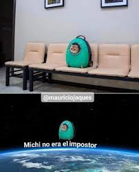 Micho No Era El Impostor En 2020 Memes Divertidos Memes Mascotas