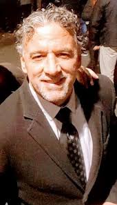 AUTHOR DECL/CV/CONTACT