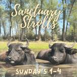 Sanctuary Strolls - July 12th, 2026