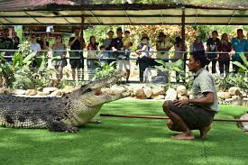 Half of the time your sim will be spit back out and get a moodlet in return but. Harga Tiket Taman Buaya Langkawi Crocodile Adventureland 2021 Diskaun