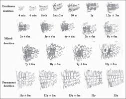 forensic radiology an emerging tool in identification kumar