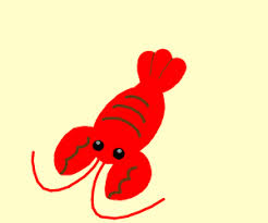 They have creamish color long bodies with long moustache and muscular tails. Lobster Drawception