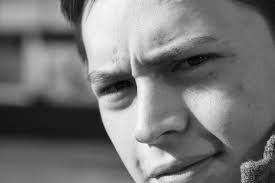 José Fernando Meneses Romero