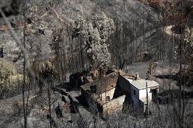 Jun 22, 2021 · a reconstrução do posto da gnr de mesão frio, afetado por um incêndio em novembro de 2019, vão custar 370 mil euros e o concurso público vai ser lançado em julho, disse hoje o presidente da. Incendio De 2018 Em Monchique Edp Distribuicao E Colaborador Acusados No Processo Sic Noticias