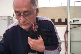 Anthony Mifsud Bonnici...