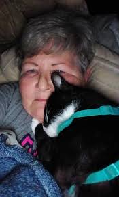 Burkburnett's Lost and Found Pets