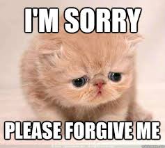 I M Sorry Please Forgive Me And 10 More Purrfect I M Sorry Memes Sorry Memes Im Sorry Meme Cute Memes
