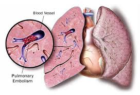 Pin On Medicine Physiology And Natural Healing