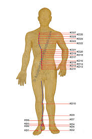 Kidney Meridian Acupuncture