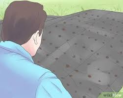 Biologically get rid of weeds in vegetable gardens. 3 Ways To Keep Weeds Out Of Your Vegetable Garden Wikihow