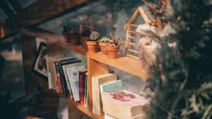Maybe you would like to learn more about one of these? Perbedaan Buku Fiksi Dan Non Fiksi Yang Perlu Diketahui Ragam Bola Com