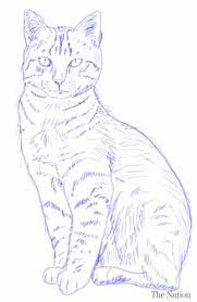 How to draw realistic cats. How To Draw A Realistic Cat