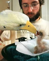 One day, a colleague threw a sheet over himself. A lot of the staff thought  he was crazy, but he started developing a more elaborate costume, adding  feathers and even wearing pants