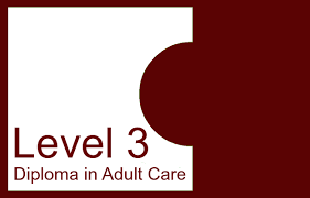 Level 3 Diploma In Adult Care Answers Answers For Health And Social Care