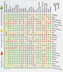 59 Matter Of Fact Fish Compatibility Chart Petco
