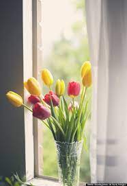 7 tricks for keeping cool without ac. 15 Brilliant Ways To Keep Your Home Cool Without Air Conditioning Huffpost Life