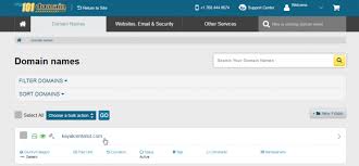 Domain Expired Now What Here S How To Recover Your Domain Name 101domain Blog