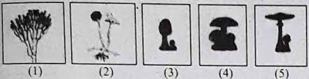 Maybe you would like to learn more about one of these? Soal Dan Pembahasan Biologi Un Sma Tahun 2018 No 1 10 J4wab