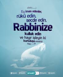 Ey Iman Edenler Ruku Edin Secde Edin Rabbinize Kulluk Edin Ve Hayir Isleyin Ki Kurtulusa Eresiniz Hacc Suresi 77 Ayet Meali Iman