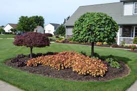 23 Landscaping Ideas With Photos Mike S Backyard Nursery Dwarf Trees For Landscaping Front Yard Landscaping Backyard Landscaping