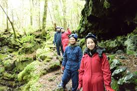 Mt Fuji Forest Tour Mt Fuji Climbing Tours