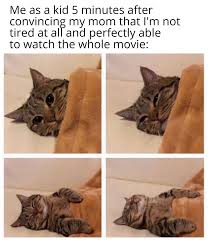 I Swear I Was Just Resting My Eyes Yawn Zzzzzzz R Memes Know Your Meme