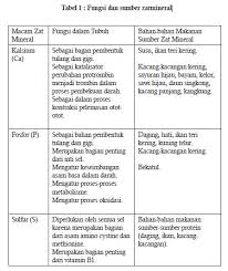 Animasi pola hidup sehat dimasa pandemi virus corona. Materi Pjok Kelas 7 Pola Makan Sehat Portal Edukasi