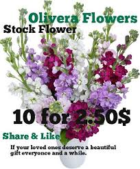 Downtown west palm beachwest palm beach's downtown west palm beach neighborhood is known for its beaches and concert halls, and entices visitors with attractions including rosemary square and palm beach county convention center. Olivera Flowers Home Facebook